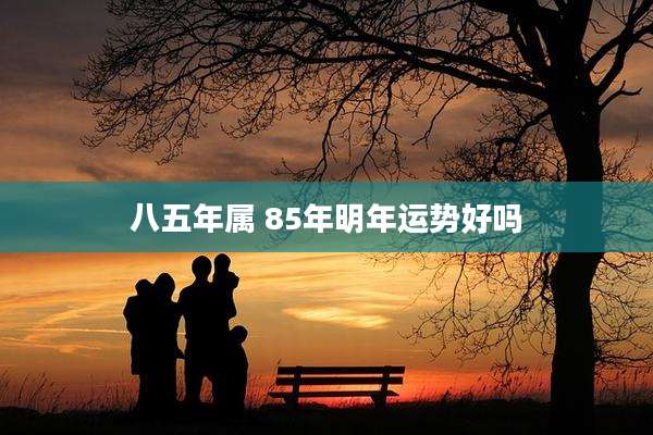 八五年属 85年明年运势好吗