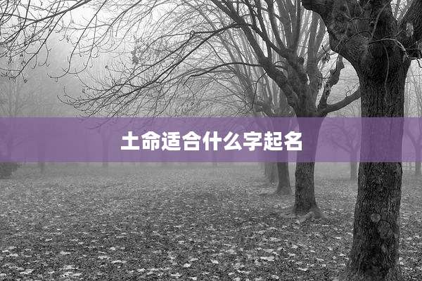 土命适合什么字起名