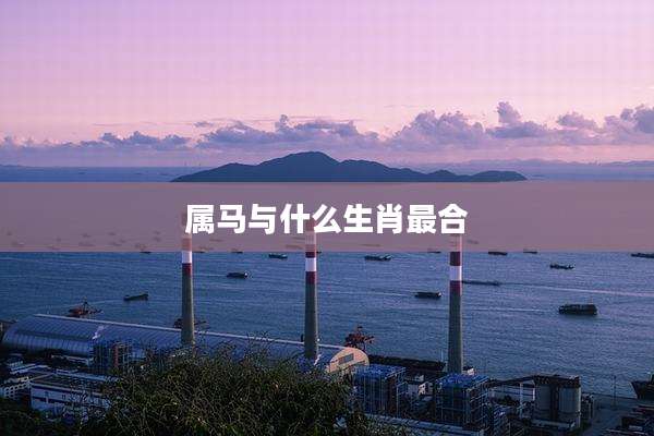 属马与什么生肖最合