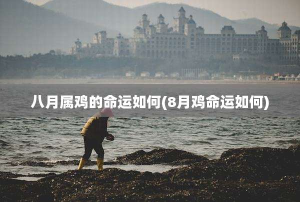 八月属鸡的命运如何(8月鸡命运如何)
