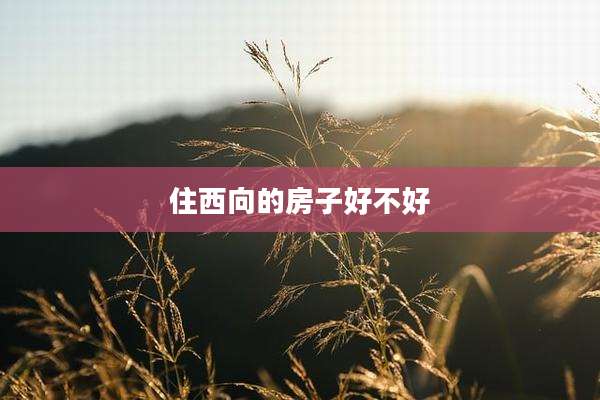 住西向的房子好不好