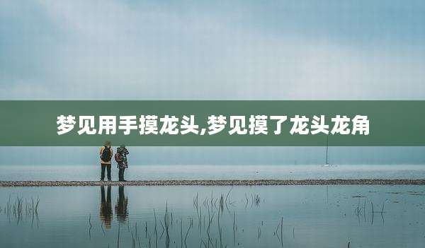 梦见用手摸龙头,梦见摸了龙头龙角