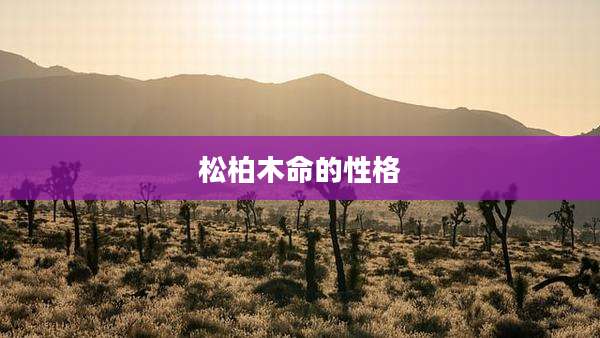 松柏木命的性格