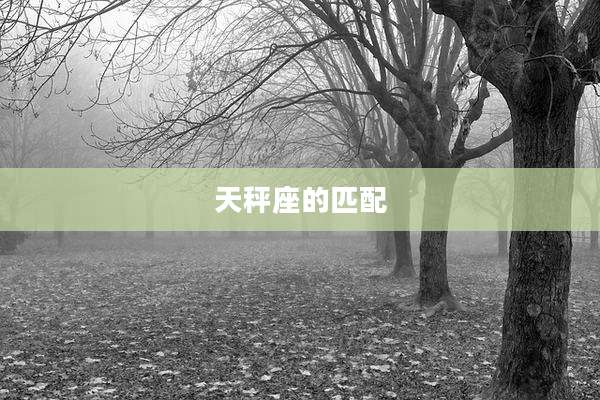 天秤座的匹配