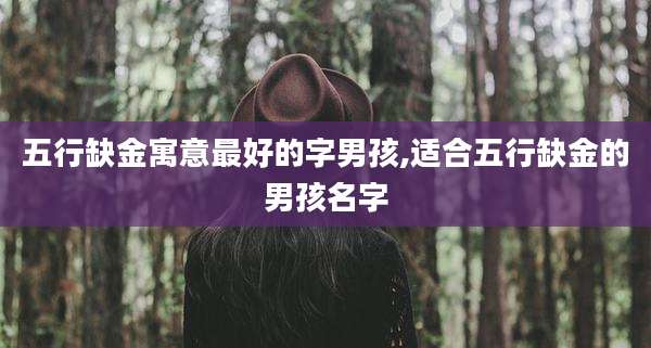 五行缺金寓意最好的字男孩,适合五行缺金的男孩名字