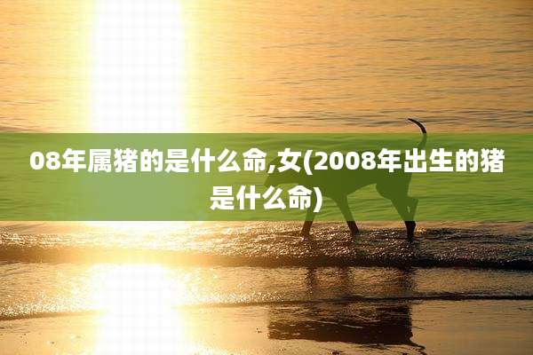 08年属猪的是什么命,女(2008年出生的猪是什么命)