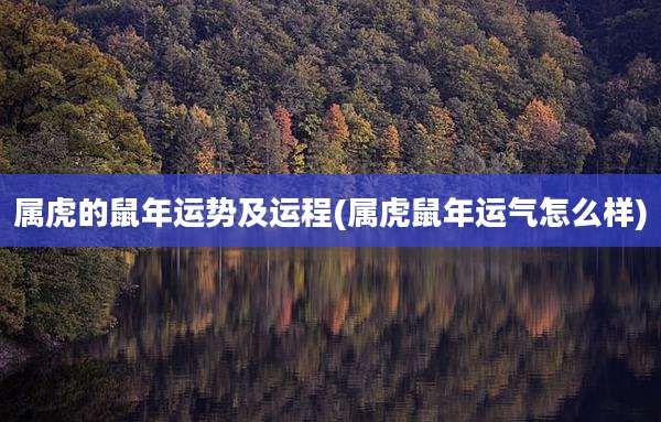 属虎的鼠年运势及运程(属虎鼠年运气怎么样)
