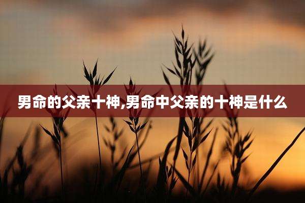 男命的父亲十神,男命中父亲的十神是什么