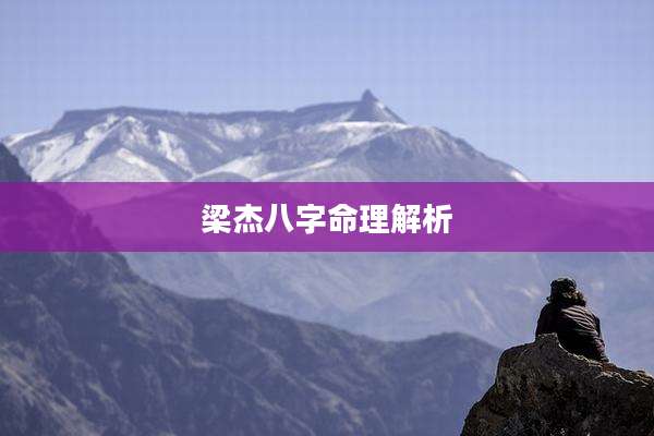 梁杰八字命理解析