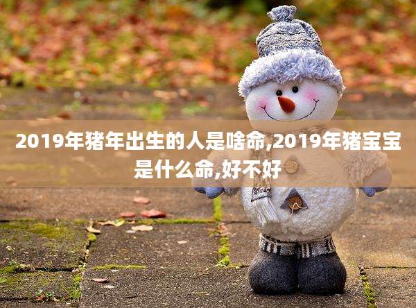 2019年猪年出生的人是啥命,2019年猪宝宝是什么命,好不好