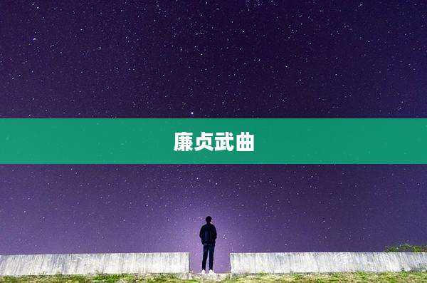 廉贞武曲