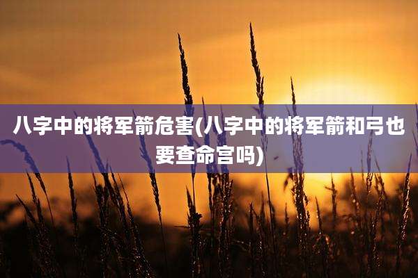 八字中的将军箭危害(八字中的将军箭和弓也要查命宫吗)