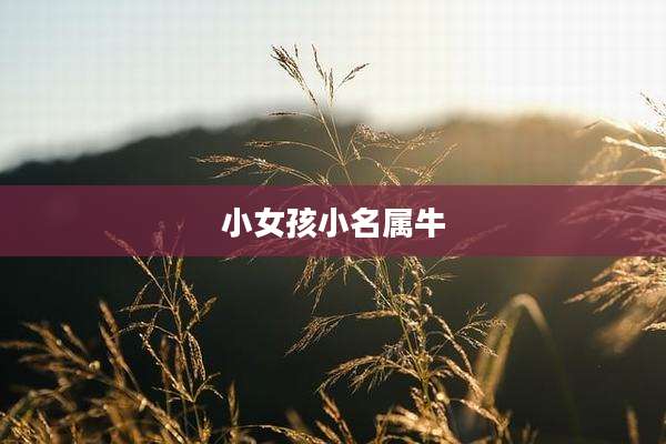 小女孩小名属牛