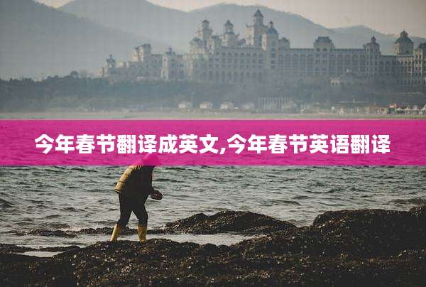 今年春节翻译成英文,今年春节英语翻译
