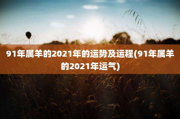 91年属羊的2021年的运势及运程(91年属羊的2021年运气)