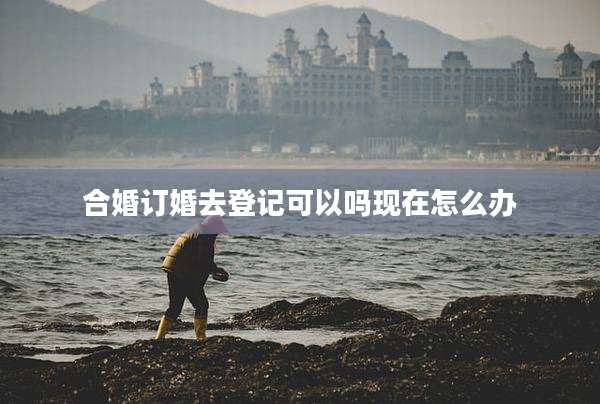 合婚订婚去登记可以吗现在怎么办
