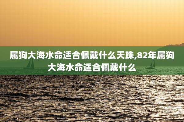 属狗大海水命适合佩戴什么天珠,82年属狗大海水命适合佩戴什么
