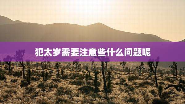 犯太岁需要注意些什么问题呢