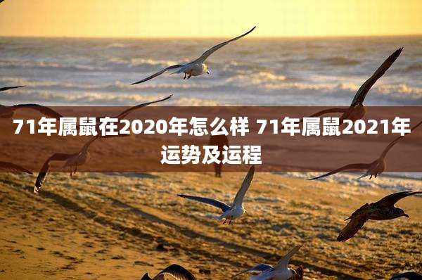 71年属鼠在2020年怎么样 71年属鼠2021年运势及运程