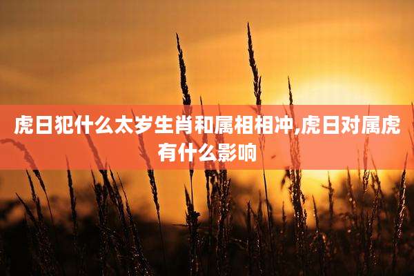 虎日犯什么太岁生肖和属相相冲,虎日对属虎有什么影响