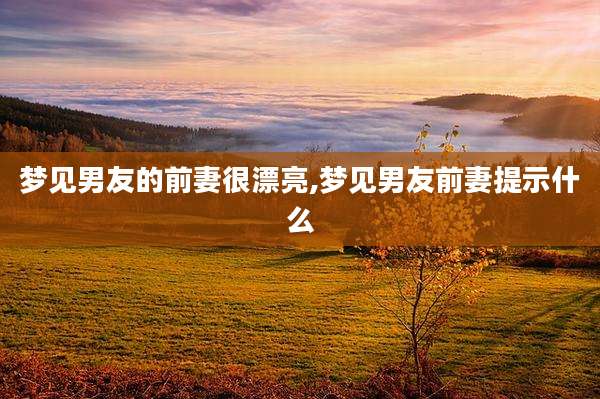 梦见男友的前妻很漂亮,梦见男友前妻提示什么