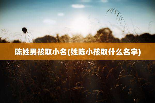 陈姓男孩取小名(姓陈小孩取什么名字)