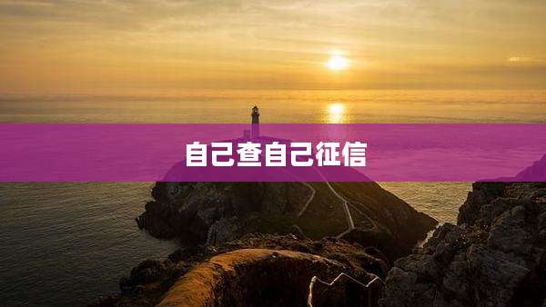 自己查自己征信