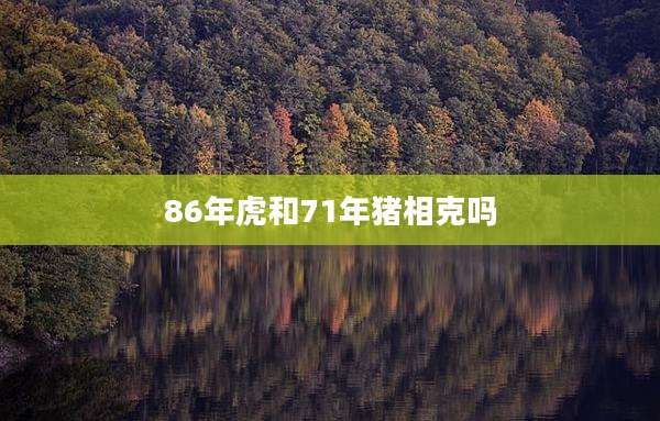 86年虎和71年猪相克吗