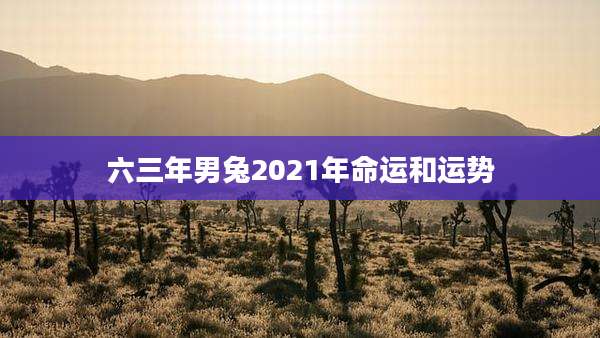 六三年男兔2021年命运和运势