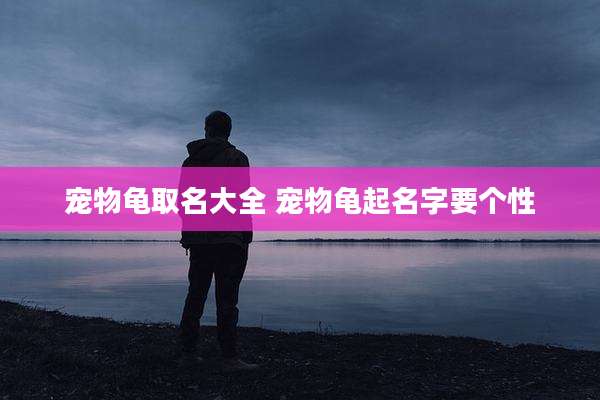 宠物龟取名大全 宠物龟起名字要个性
