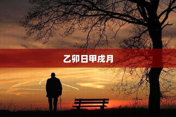 乙卯日甲戌月