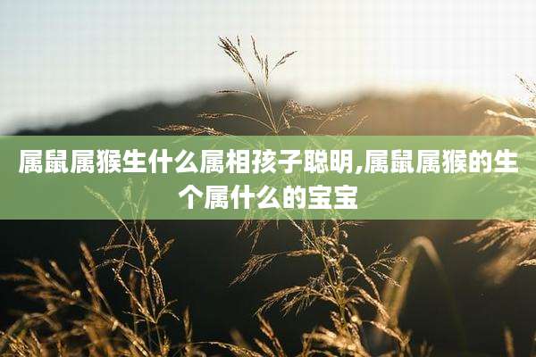 属鼠属猴生什么属相孩子聪明,属鼠属猴的生个属什么的宝宝