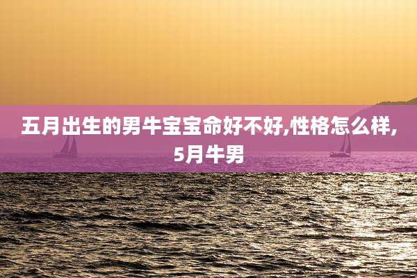 五月出生的男牛宝宝命好不好,性格怎么样,5月牛男