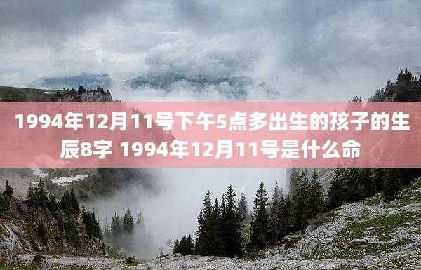 1994年12月11号下午5点多出生的孩子的生辰8字 1994年12月11号是什么命