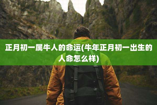 正月初一属牛人的命运(牛年正月初一出生的人命怎么样)