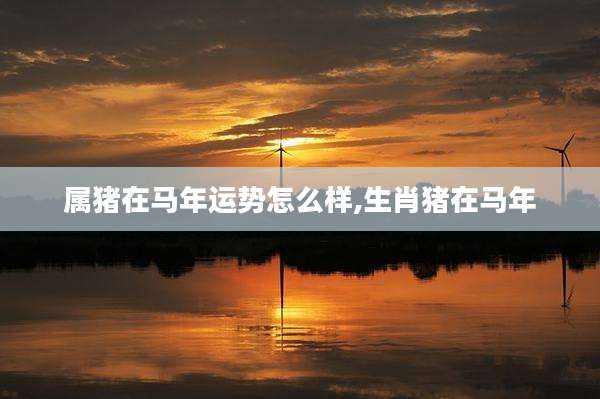 属猪在马年运势怎么样,生肖猪在马年