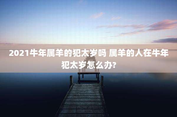 2021牛年属羊的犯太岁吗 属羊的人在牛年犯太岁怎么办?