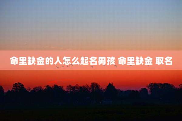命里缺金的人怎么起名男孩 命里缺金 取名