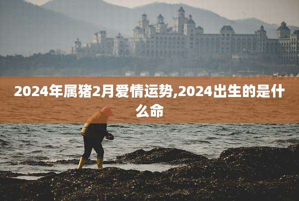 2024年属猪2月爱情运势,2024出生的是什么命