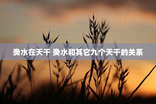 癸水在天干 癸水和其它九个天干的关系