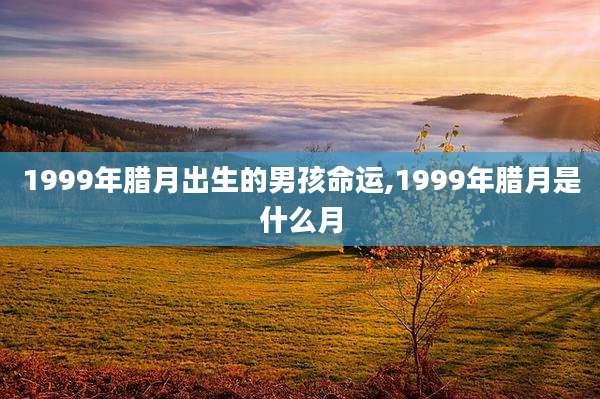 1999年腊月出生的男孩命运,1999年腊月是什么月