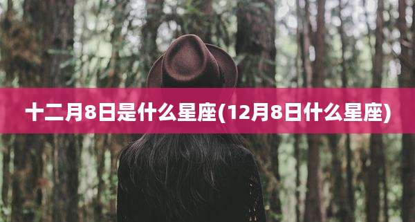 十二月8日是什么星座(12月8日什么星座)