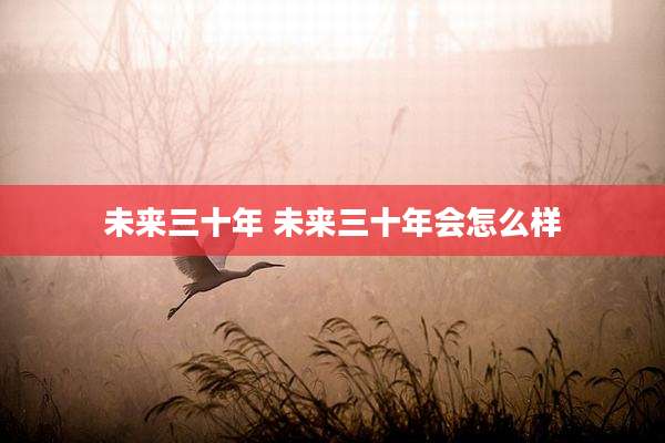 未来三十年 未来三十年会怎么样
