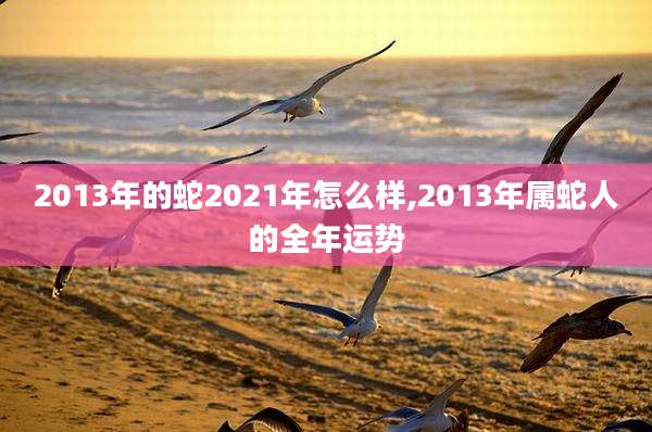 2013年的蛇2021年怎么样,2013年属蛇人的全年运势