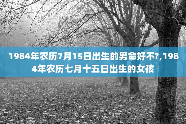 1984年农历7月15日出生的男命好不?,1984年农历七月十五日出生的女孩
