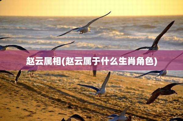 赵云属相(赵云属于什么生肖角色)