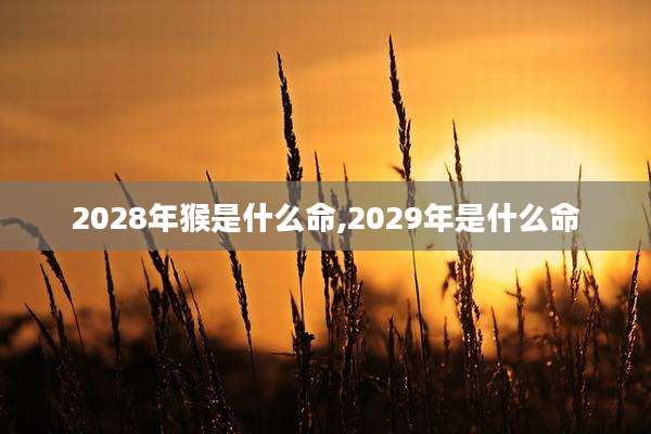2028年猴是什么命,2029年是什么命