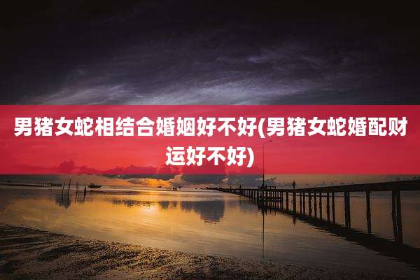 男猪女蛇相结合婚姻好不好(男猪女蛇婚配财运好不好)