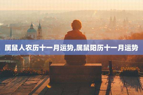 属鼠人农历十一月运势,属鼠阳历十一月运势