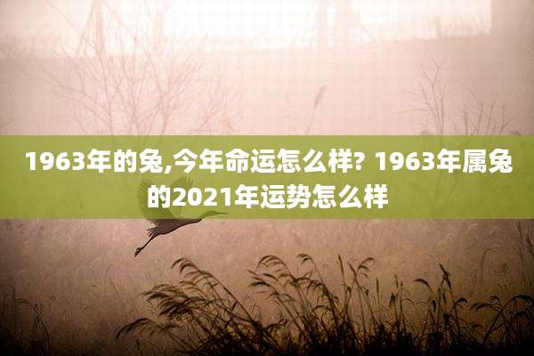 1963年的兔,今年命运怎么样? 1963年属兔的2021年运势怎么样
